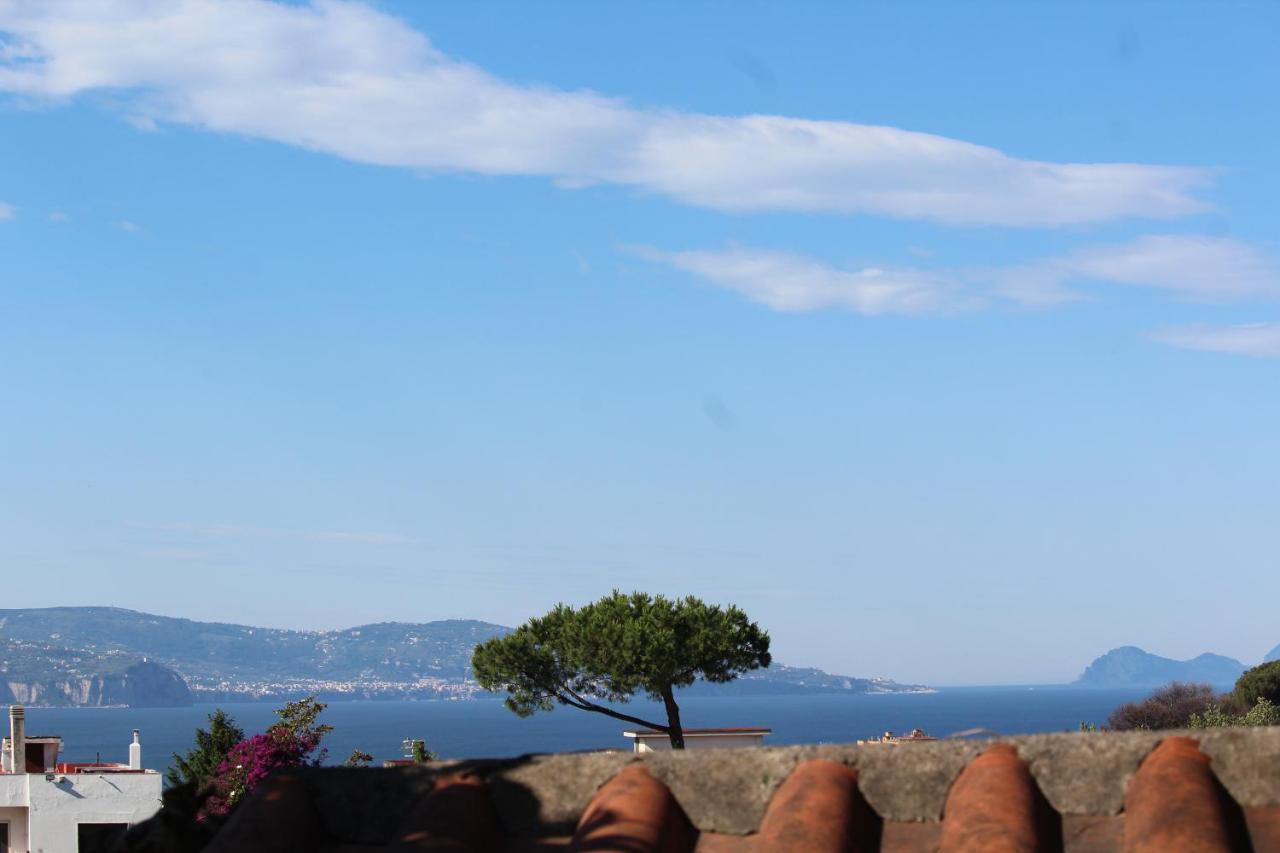 Villa delle Rose Boscotrecase Esterno foto